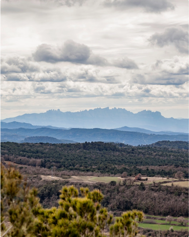 Moianès