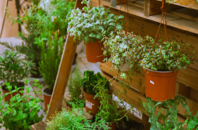 Floristeria El Roser